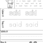 New-Zealand-Sight-Words-Activity-Sheets-for-Magenta-to-Orange-three-1