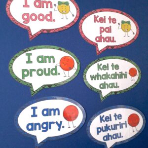 Te Reo Maori Feelings and Emotions Posters - Top Teaching Tasks