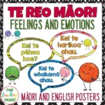 Te-Reo-Maori-Feelings