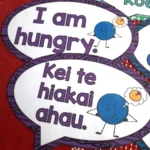 Te-Reo-Maori-Feelings-4
