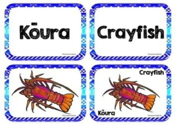 Te-Reo-Under-the-Sea-2 Te-Reo-Under-the-Sea-2