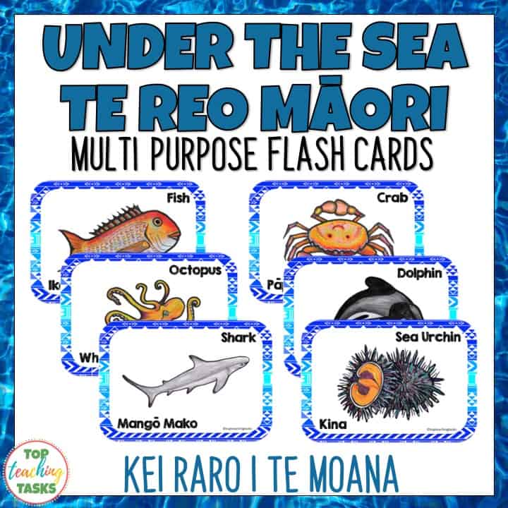 Te Reo Under the Sea Multi-purpose Flash Cards | Maori Language Week - Top  Teaching Tasks