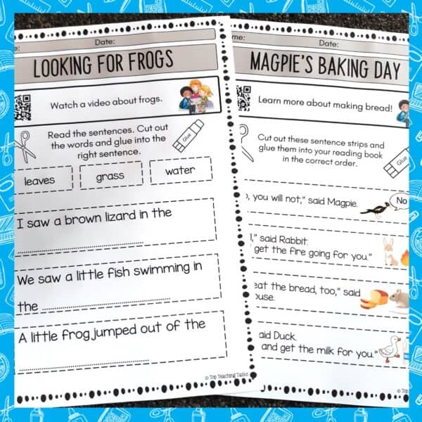 Blue PM Reader Activities 4
