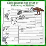 Native Birds Task Cards Volume B 1