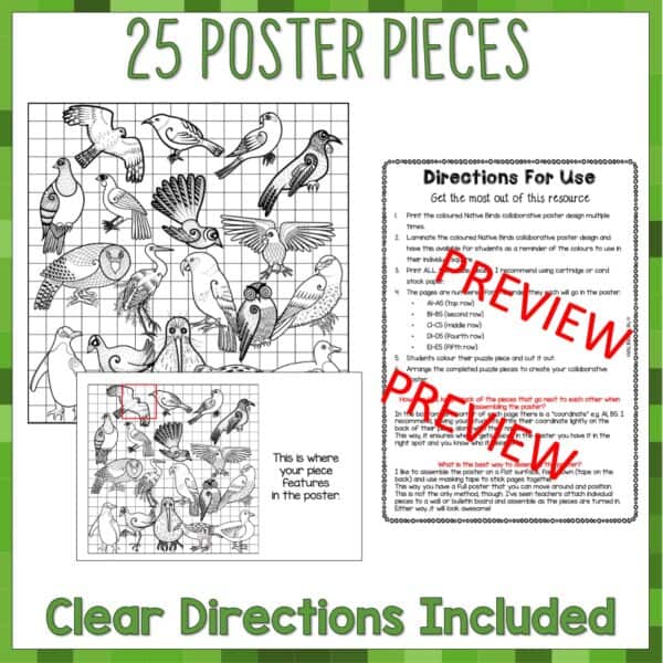 New Zealand Native Birds Collaborative Poster New Zealand Native Birds Collaborative Poster