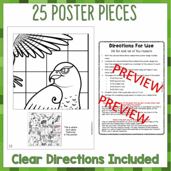 New Zealand Native Birds Collaborative Poster c New Zealand Native Birds Collaborative Poster c