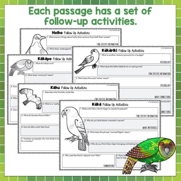 New Zealand Native Birds b New Zealand Native Birds b