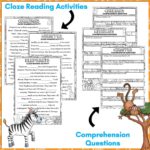 Zoo Animals Reading Activities for Year 3 b