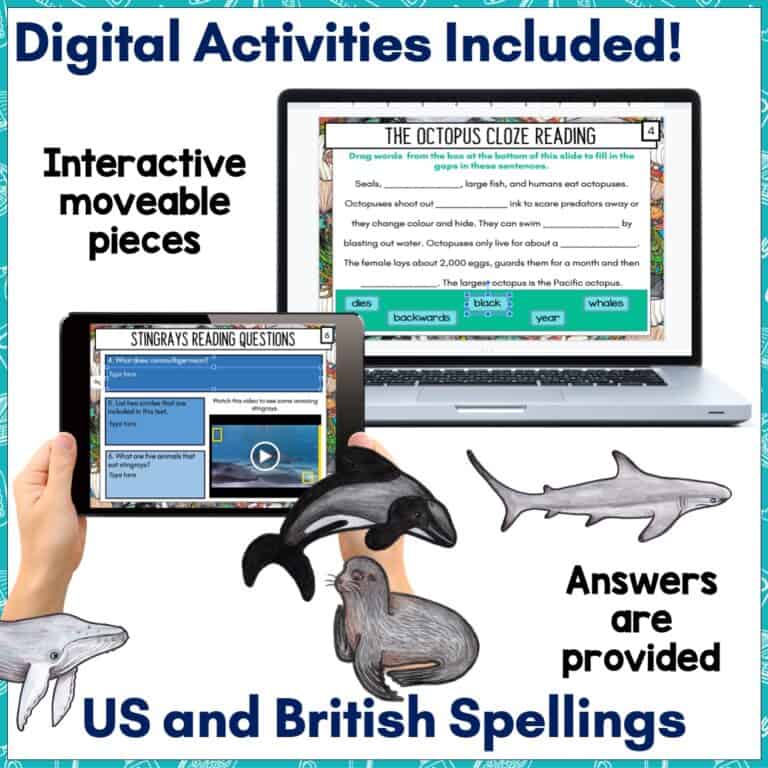 Ocean Creatures Reading Comprehension Activities for Year 3 - Top ...