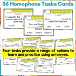 Homophones Task Cards a