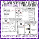 Purple Level 19 PM Readers Follow Up Activities a