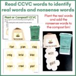 CVC CCVC and CVCC Plant or Compost b