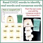 CVC CCVC and CVCC Plant or Compost c