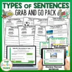 Type of Sentences Activities