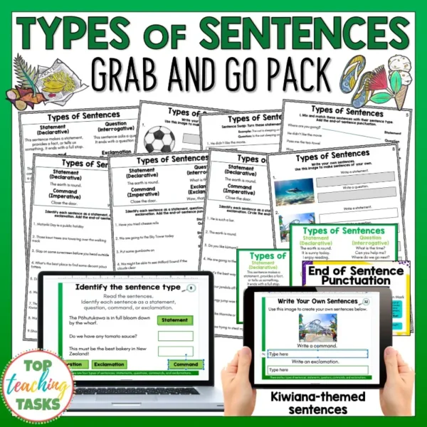 Type of Sentences Activities