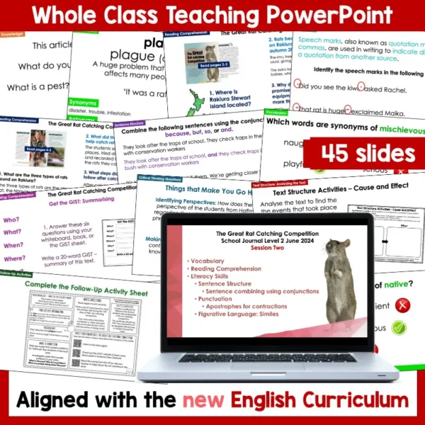The Great Rat-Catching Competition SJ L2 June 2024 Whole Class c The Great Rat-Catching Competition SJ L2 June 2024 Whole Class c