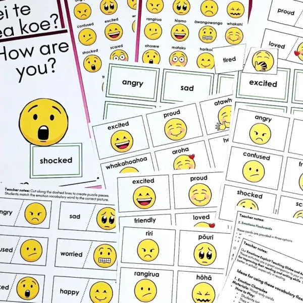 Vocabulary Explicit Teaching Slides and Activities Emotions c Vocabulary Explicit Teaching Slides and Activities Emotions c