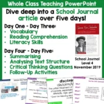 Chinese New Zealanders Whole Class Activities a