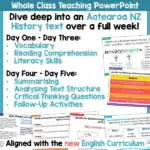 Early Whaling and Sealing in New Zealand activities a