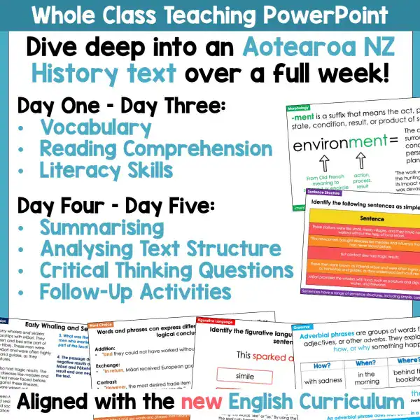 Early Whaling and Sealing in New Zealand activities a Early Whaling and Sealing in New Zealand activities a