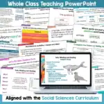 Early Whaling and Sealing in New Zealand activities b