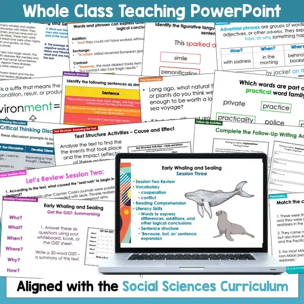 Early Whaling and Sealing in New Zealand activities b Early Whaling and Sealing in New Zealand activities b