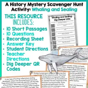 Whaling and Sealing History Mystery a