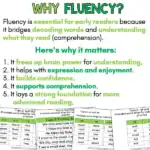Fluency Slides - Phase 1 - Tupu 2 c