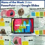 Manu o te Wiki reading activities b