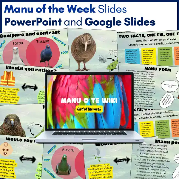 Manu o te Wiki reading activities b Manu o te Wiki reading activities b