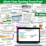 Valley of the Whales School Journal Activities b