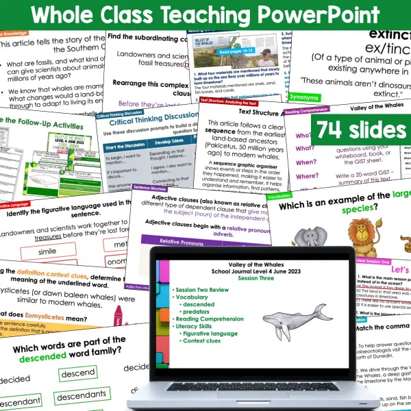 Valley of the Whales School Journal Activities b Valley of the Whales School Journal Activities b