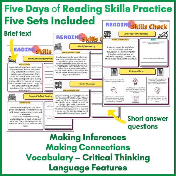Reading Skills Practice Activities Year 4 b Reading Skills Practice Activities Year 4 b