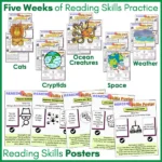 Reading Skills Practice Activities Year 4 c