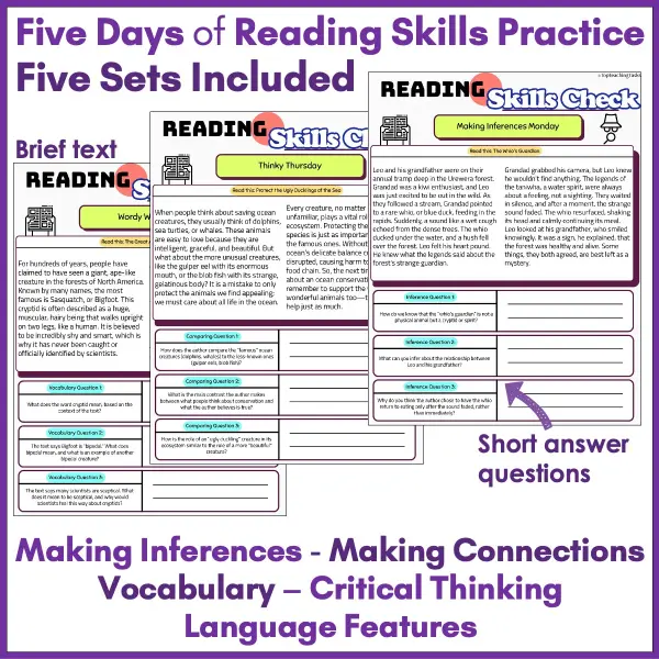 Reading Skills Practice Activities Year 5 b Reading Skills Practice Activities Year 5 b