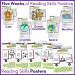Reading Skills Practice Activities Year 5 c