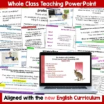 The Problem with Wallabies whole class activities b