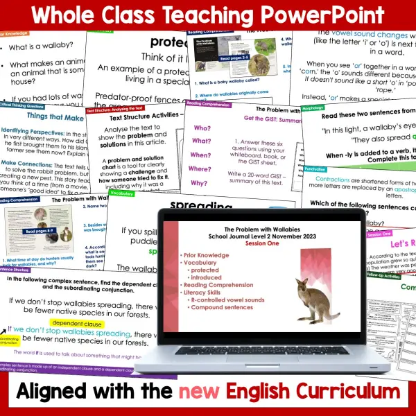 The Problem with Wallabies whole class activities b The Problem with Wallabies whole class activities b