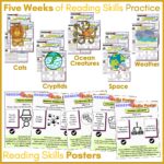 Reading Skills Check Year 3 c