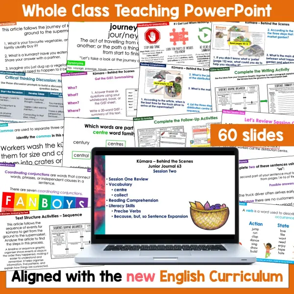 Kūmara - behind the scenes whole class b Kūmara - behind the scenes whole class b