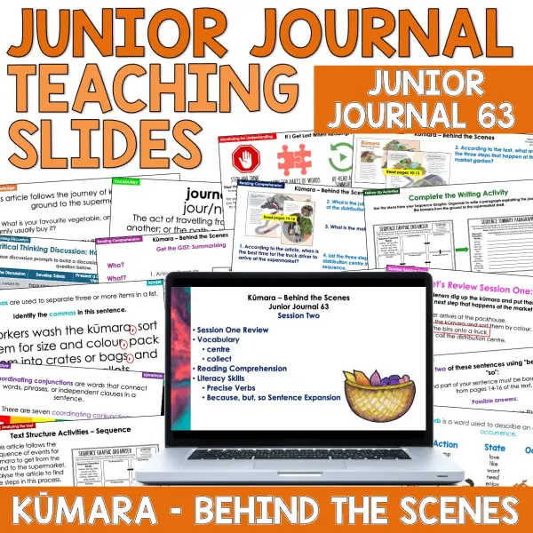 Kūmara - behind the scenes whole class Kūmara - behind the scenes whole class