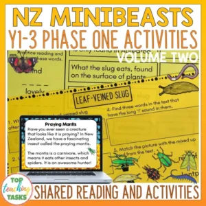 Minibeasts Phase One (Year 1-3) | Shared Reading Passage & Activities Volume 2