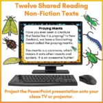 Mini-Beasts Phase One Shared Reading Volume Two a