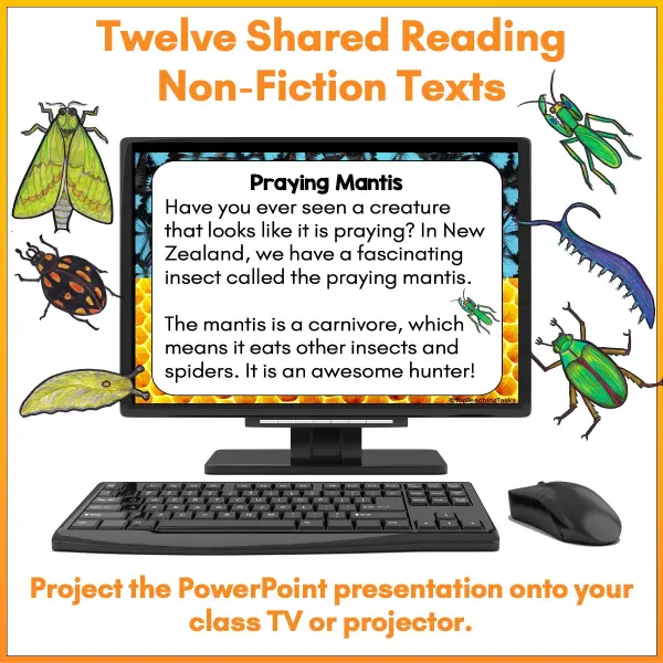 Mini-Beasts Phase One Shared Reading Volume Two a Mini-Beasts Phase One Shared Reading Volume Two a