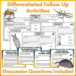 Mini-Beasts Phase One Shared Reading Volume Two b