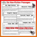 Mini beasts Year 4 Task Cards Volume 1 a