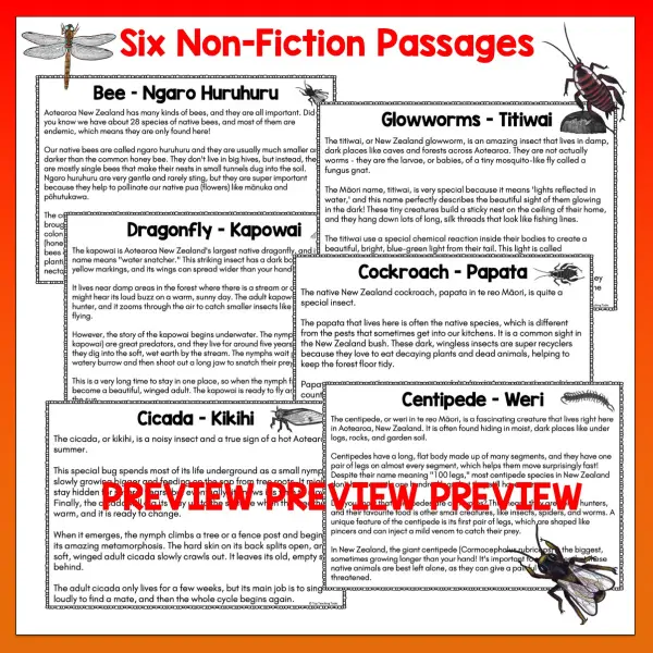 Mini beasts Year 4 Task Cards Volume 1 a Mini beasts Year 4 Task Cards Volume 1 a