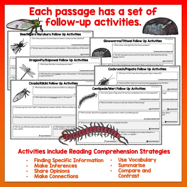 Mini beasts Year 4 Task Cards Volume 1 b Mini beasts Year 4 Task Cards Volume 1 b