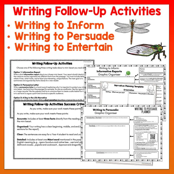 Mini beasts Year 4 Task Cards Volume 1 c Mini beasts Year 4 Task Cards Volume 1 c