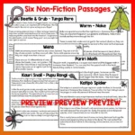 Mini beasts Year 4 Task Cards Volume 2 a